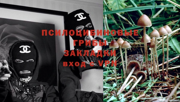 MESCALINE Магас