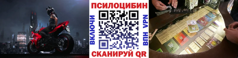 Псилоцибиновые грибы Psilocybe  Еманжелинск 