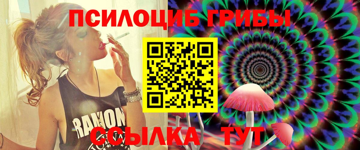 где найти   Вход с VPN  Еманжелинск  Псилоцибиновые грибы GOLDEN TEACHER 